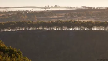 Autumn tree ridge (2).jpg